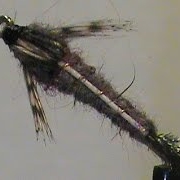 Fly-Tying-an-Isonychia-Nymph-with-Jim-Misiura