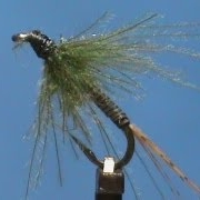 Fly-Tying-an-Olive-Flymph-with-Jim-Misiura