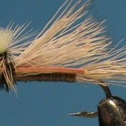 Fly-Tying-an-Olive-PMX-with-Jim-Misiura