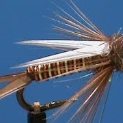 Fly-Tying-for-Beginners-Prince-John-with-Jim-Misiura