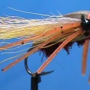 Fly-Tying-for-Beginners-a-Cicada-with-Jim-Misiura