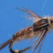 Fly-Tying-for-Beginners-a-Generic-Beadhead-Nymph-with-Jim-Misiura