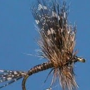 Fly-Tying-for-Beginners-a-Guinea-and-Grizzly-with-Jim-Misiura