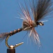 Fly-Tying-for-Beginners-a-Last-Chance-Adams-with-Jim-Misiura