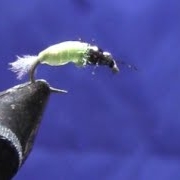 Fly-Tying-with-David-Double-Barrel-Caddis
