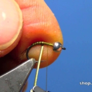 Fly-Tying-with-Hans-Tungsten-Quill-Emerging-Nymph