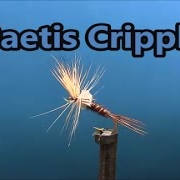 Fly-tying-a-Baetis-Cripple