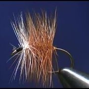 Fly-tying-a-Brown-Bivisible