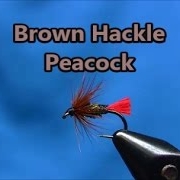 Fly-tying-a-Brown-Hackle-Peacock-wet-fly