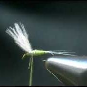 Fly-tying-a-CDC-BWO