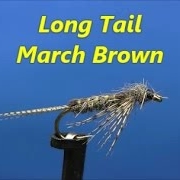 Fly-tying-a-Long-Tail-March-Brown