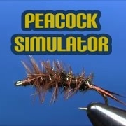 Fly-tying-a-Peacock-Simulator-attractor-nymph