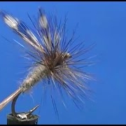 Fly-tying-an-Adams-non-genetic-Dry-Fly