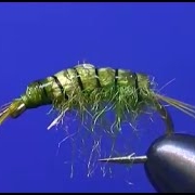 Fly-tying-an-Olive-Scud