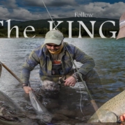 Follow-The-King