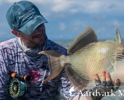 How-To-Catch-A-Triggerfish-On-Fly