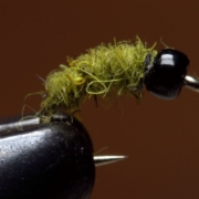 Micro-Caddis-Larva