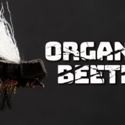 Organza-Beetle