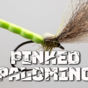 Pinked-Palomino