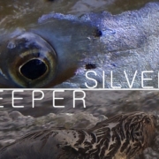 Silver-Keeper