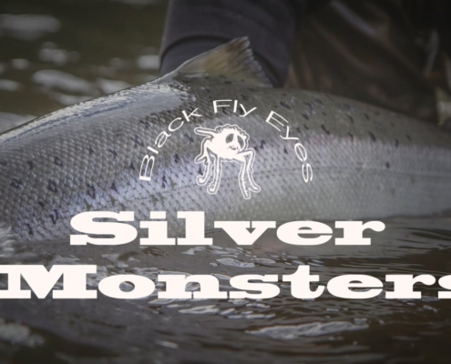 Silver-Monsters