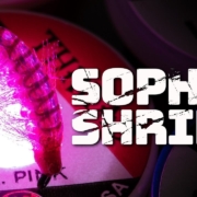 Sophia-Shrimp