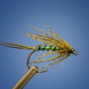 The-Mailman-Drake-Soft-Hackle-By-Curtis-Fry
