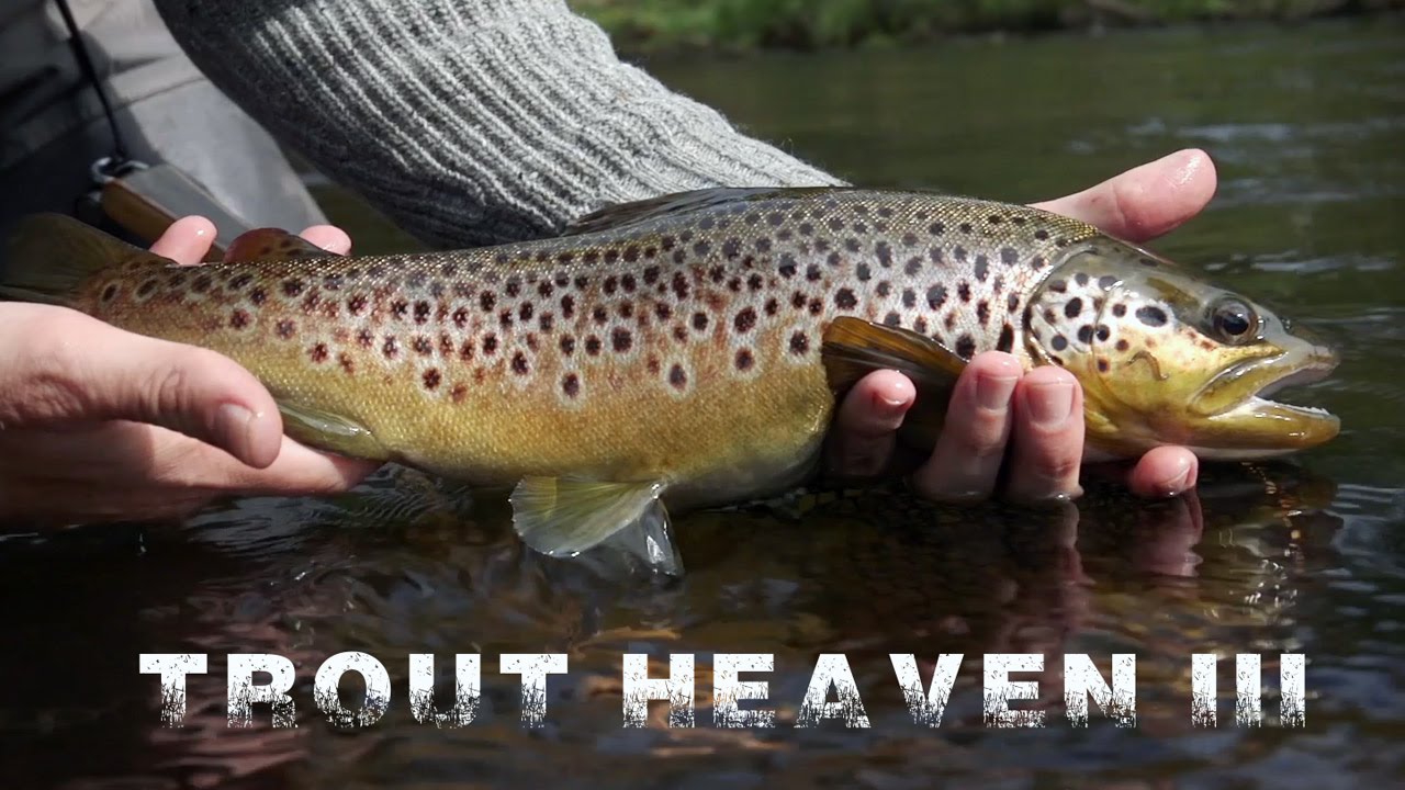 Trout-Heaven-III-The-Final-Chapter
