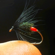 Tying-a-Black-amp-Peacock-Spider-with-Hot-Spot-by-Mak