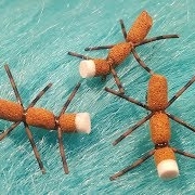 Tying-a-Hi-viz-Ant-with-Martyn-White-dry-fly