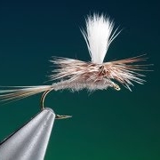 Tying-a-Parachute-Adams-with-Barry-Ord-Clarke