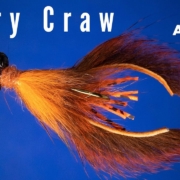 Curry-Craw-Fly-Tying