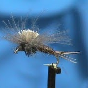 Fly-Tying-CDC-Dry-Pheasant-Tail-with-Jim-Misiura