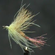 Fly-Tying-an-Elk-Wing-Emerger-Cripple-with-Jim-Misiura