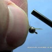Fly-Tying-with-Hans-Creepy-Crawly-Stonefly-Nymph-Part-2