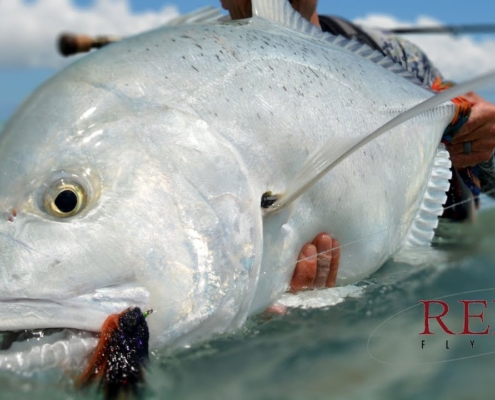 Giant-Trevally-Fishing-Tips-and-Gear-for-Christmas-Island