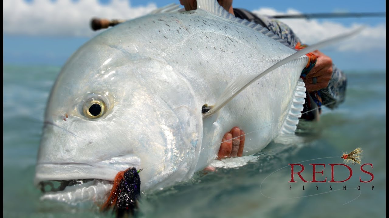 Giant-Trevally-Fishing-Tips-and-Gear-for-Christmas-Island