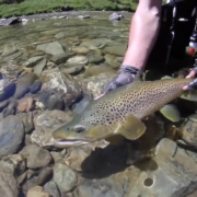 New-Zealand-Fly-Fishing-Traveltruly-Presents-High-Country-Browns