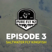 PFNZ-Golden-Bay-Kingfish