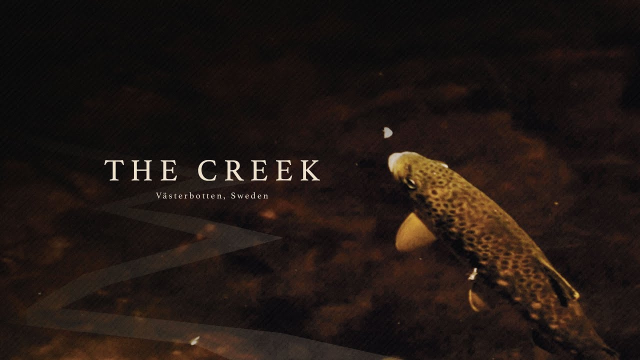 The-Creek
