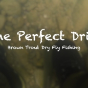 The-Perfect-Drift-Dry-Flies-Brown-Trout-May-2019
