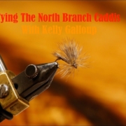 Tying-The-North-Branch-Caddis-with-Kelly-Galloup