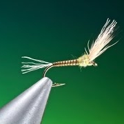 Tying-a-Baetis-sparkle-wing-with-Barry-Ord-Clarke