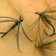 Tying-a-Classic-North-Country-Spider-Waterhen-Bloa-By-mak