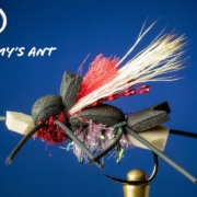 Amys-Ant-Fly-Tying