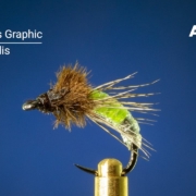 Barrs-Graphic-Caddis-Fly-Tying