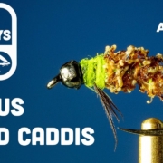 Cactus-Cased-Caddis-Fly-Tying