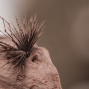 FLY-TYING-The-MOTH-dry-fly-TUTORIAL