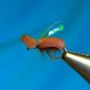 Fly-Tying-a-Brown-Beetle-by-Mak