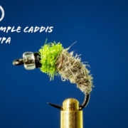 Simple-Caddis-Pupa-Fly-Tying